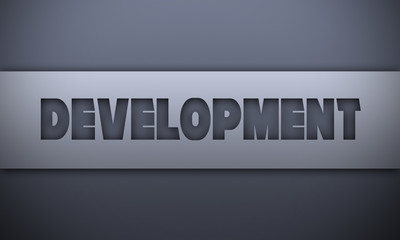 Wall Mural - development - word on silver background