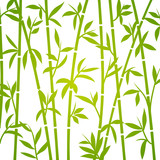 Fototapeta Sypialnia - Bamboo background japanese asian plant wallpaper grass. Bamboo tree vector pattern