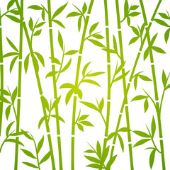 Wall Mural - Bamboo background japanese asian plant wallpaper grass. Bamboo tree vector pattern