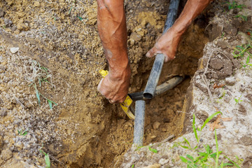 farmer installing drop irrigation system