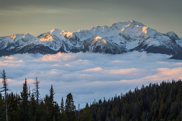 Canadian Rockies sitting on top of clouds