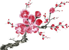A Branch Of A Blossoming Tree. Pink And Red Stylized Flowers Of Plum Mei, Wild Apricots And Sakura . Watercolor And Ink Illustration In Style Sumi-e, U-sin. Oriental Traditional Painting.
