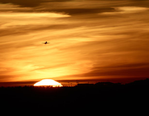 Aufkleber - airplane takes off against the sun and sky