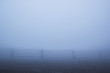 Dense fog settles over a village road