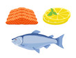 Vector salmon fish, slices of lemon - gourmet meal