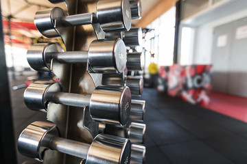 Wall Mural - Sports dumbbells. dumbbells in the gym