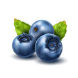 Vector realistic blueberry with 3d leaves set
