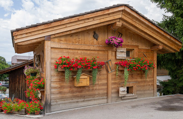 Canvas Print - Chalets