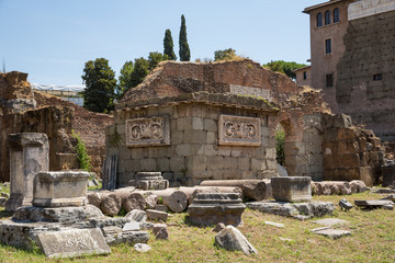 Wall Mural - Ruins in the Roman Forum, Rome, Italy