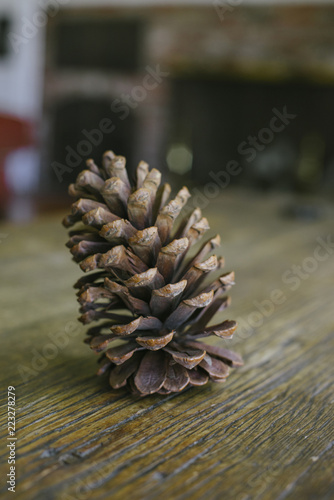Fotografie, Obraz Tall pine cone on a wood table in a home