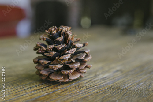 Fotografie, Obraz Short and stout pine cone on a farm table