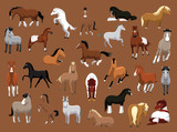 Fototapeta Konie - Various Horse Poses Cartoon Vector Illustration