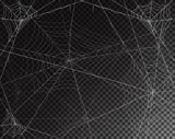 Fototapeta Perspektywa 3d - Black transparent background for Halloween with spiderwebs
