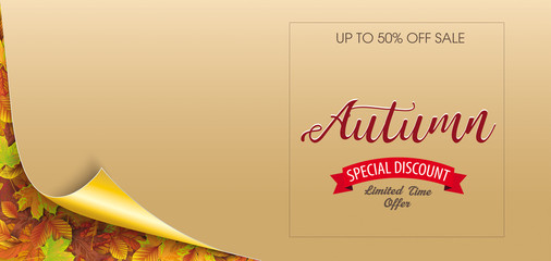 Wall Mural - autumn discount foliage scrolled corner paper header