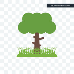 Canvas Print - tree vector icon isolated on transparent background, tree logo design