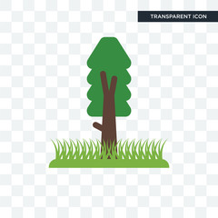 Canvas Print - tree vector icon isolated on transparent background, tree logo design