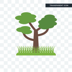 Poster - tree vector icon isolated on transparent background, tree logo design