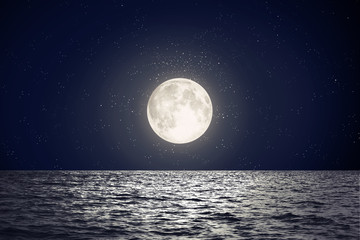 Wall Mural - moon