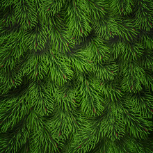 Realistic Christmas Tree Branches Background. Detailed Christmas Tree Branches Background. Green Needles On Branches. Vector Tree Branch Background