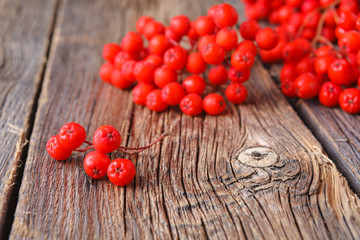 Canvas Print - Autumn background with Rowan branch on old wooden table