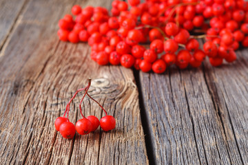 Canvas Print - Autumn background with Rowan branch on old wooden table