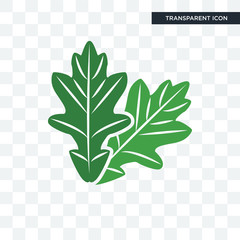 Wall Mural - oak leaf vector icon isolated on transparent background, oak leaf logo design