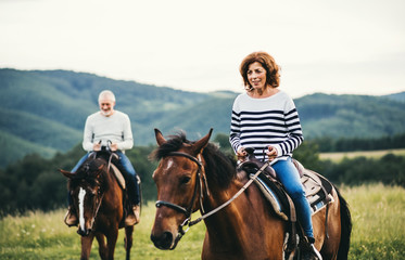 Wall Mural - A senior couple riding horses in nature.