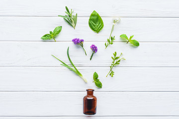 Canvas Print - top view of bottle of natural herbal essential oil and scattered green leaves on white wooden tabletop