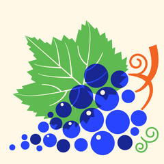 Grapes with leaf .Vector flat style illustration