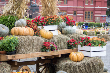 some pumpkins on hay and ears of wheat in a wooden cart the season of harvest at an autumn festival 
