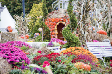 Wall Mural - fairy house in autumn season fair made from pumpkins. Beautiful decor