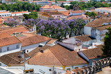 Fototapeta Młodzieżowe - The view of city residential houses surrounding the Cathedral (Se) of Evora. Portugal