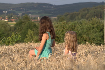 Two little girls sister walking on a wheat field