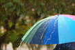 © New Africa - Person with bright umbrella under rain on street, closeup