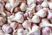 White Garlic Texture. Fresh Garlic On Market Table Closeup Photo. Vitamin Healthy Food Spice Image. Spicy Cooking Ingredient Picture.  White Garlic Head Heap Top View.