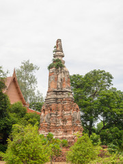 Wat Phu Khao Thong ,Thailand.