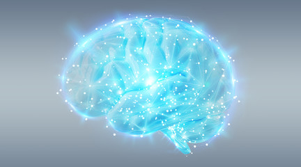 Poster - Digital 3D projection of a human brain 3D rendering
