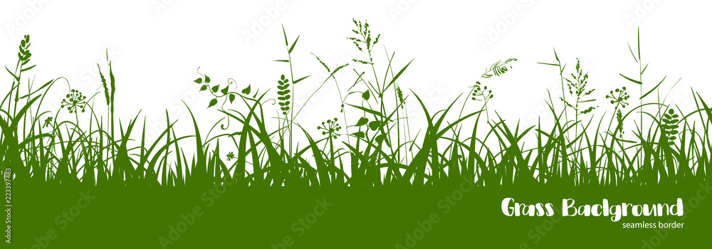Silhouettes of green grass, spikes and herbs. Seamless border. - obrazy, fototapety, plakaty 