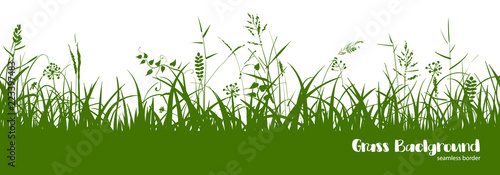 Fotografía Silhouettes of green grass, spikes and herbs. Seamless border.