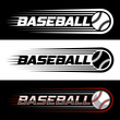 Color vector logo on the theme of baseball with a picture of a baseball ball on black and white background
