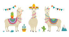 Cute Cartoon Llama Alpaca Vector Graphic Design Set. Hand Drawn Llama Character Illustration And Cactus Elements For Nursery Design, Poster, Greeting, Birthday Card, Baby Shower Design And Party Decor