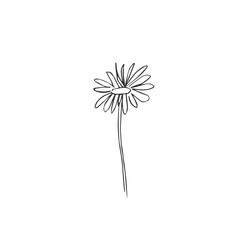  flower isolated on white background, vector illustration