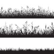 Set of grass seamless borders. Black silhouette of grass, spikes and herbs. Vector.