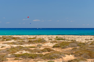 Wall Mural - Two parachutists tied to boats skate in the turquoise sea