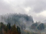 Fototapeta Krajobraz - The Carpathian mountains landscape during mist in the autumn season