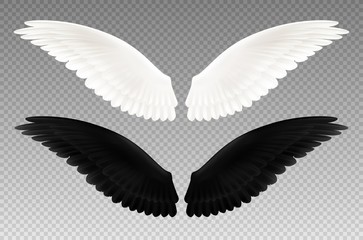 Canvas Print - Black And White Wings Transparent Set