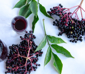 Elderberry vinegar on white background