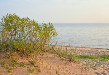 Canvas Print - Coast of Baltic sea.