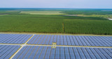 Fototapeta  - champs de panneaux solaire dans une ferme solaire