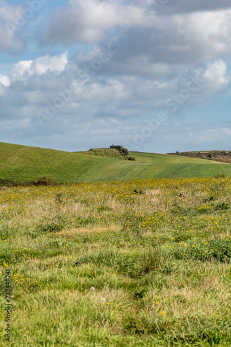 Fotografiet Countryside on the Isle of Wight on a sunny late summer's day